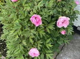 Silsoe Cottage B&B - Woodland View Room