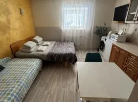 Private City Apartment Solaris Viru Central