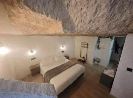 Amonite