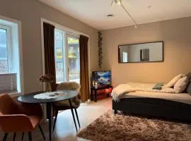 Cozy Central Apartment