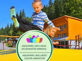 Resort Špindl, מלון בשפינדלרוב מלין