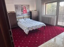 Vila cu trandafiri - Cozy Apartments Studio cu pat matrimonial