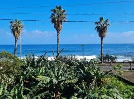 Casa Palmeiras, Seixal , Madeira