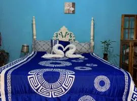 Budget Stay, Rich Experience