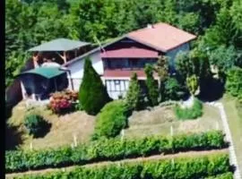 Apartment Noletov vidikovac