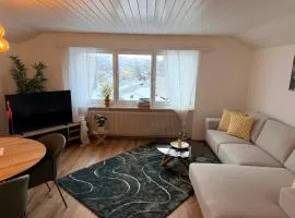 Moderne 3-Zimmer-Ferienwohnung im Toggenburg