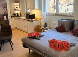 Gîte Ried 2 personnes Diebolsheim Alsace, hotel i Diebolsheim