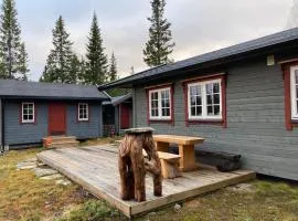 Cabin in Tydal, enjoy!