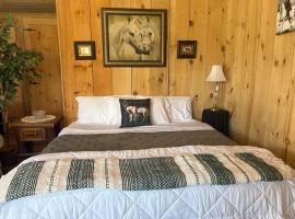 OMG! CABIN on Horse Ranch w Mtn Views-Pet Friendly, hotel a Boone
