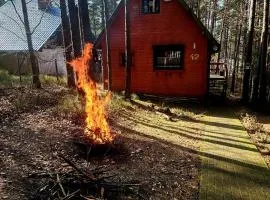 Domek w lesie przy jeziorze Kamień