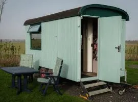 Bloemen Keet op een boeren camping