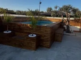 casa consiglio ardicula