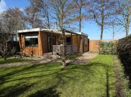 Chalet 520 op Recreatiepark De Wielen