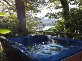 Waterside Cader Cabin with Hot Tub