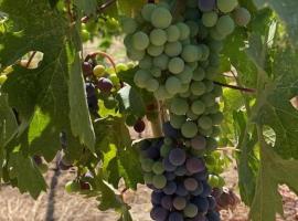 SVO Farm and winery, hotel en Temecula