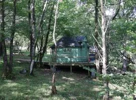 Tree Top Cabin with Private Hot Tub