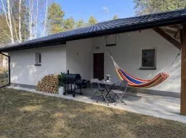 Leśny Azyl w Puszczy Kozienice