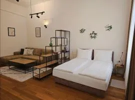 ELEVEN APARTMENT - Very Center - Free Parking