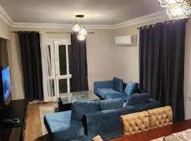 Luxury Apartment - Sheikh Zayed