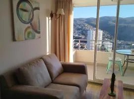 Beautiful apartment overlooking Valparaíso Bay