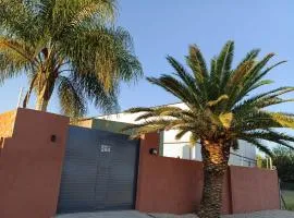 Palmeras al sol