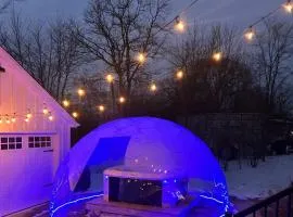 Walk to Notre Dame. Game Room & Hot Tub Hypedome!