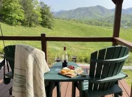 CL to DT Asheville, Hot Tub, Pool Table