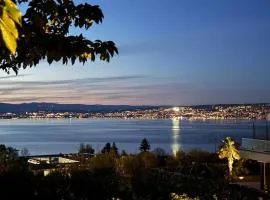 Appartement avec vue exceptionnelle sur le lac Léman