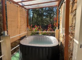 Le Cocon en pierre au coeur du Verdon et son spa en supplément gîte "Le Repos Des Chênes", Hotel in Régusse