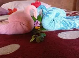 Skyhigh Lookout Tree House & Bungalow