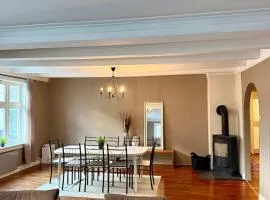 Downtown 3-bedroom apartment