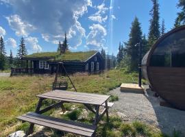 Synnfjell hytta, hotel u gradu Nord Torpa