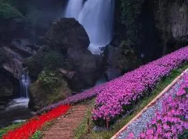 Doi Inthanon Waterfall Garden
