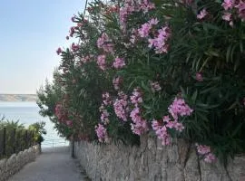 Nadalina 10