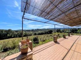Villa provençale La Cabane