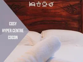 Le Nid Douillet - L'esprit chalet en Centre Ville