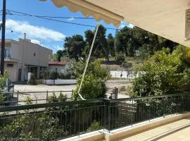 Δεσποτικό στη Παραλία Αυλίδος Despotiko in Paralia Avlidos