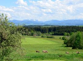 Kuh Heimat - Bergblick - Terrasse, hotel din Buchenberg