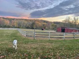 Punto Pino Farm Stay