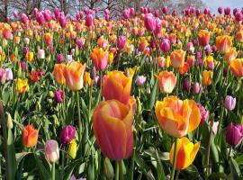 Cozy Place Lakeside, hotel a Ginebra