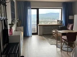 Pavla's Cozy Apartment - currently scaffold in front of the balcony - reflected in price!