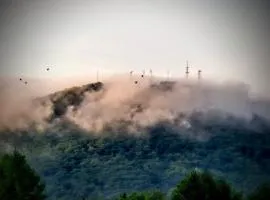 Tinker Creek 1 Bedroom Artist Suite