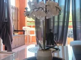 LES BULLES DE MONA - Marina Corse - 2 ch - Clim - Terrasse-pieds dans leau-plage