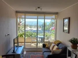 Lovely apartment in downtown Los Andes