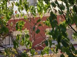 بيت اطلالة الوادي