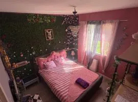 ELLO Alice Secret Garden in PAU