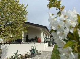 APPARTAMENTO " Le Terre del Garda "