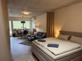Sonnenufer Apartment & Wein III