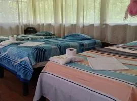 Amazon Lodge Iquitos