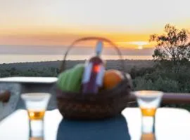 Mani Tigani View Studio